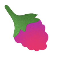 flat illustration of a pink raspberry